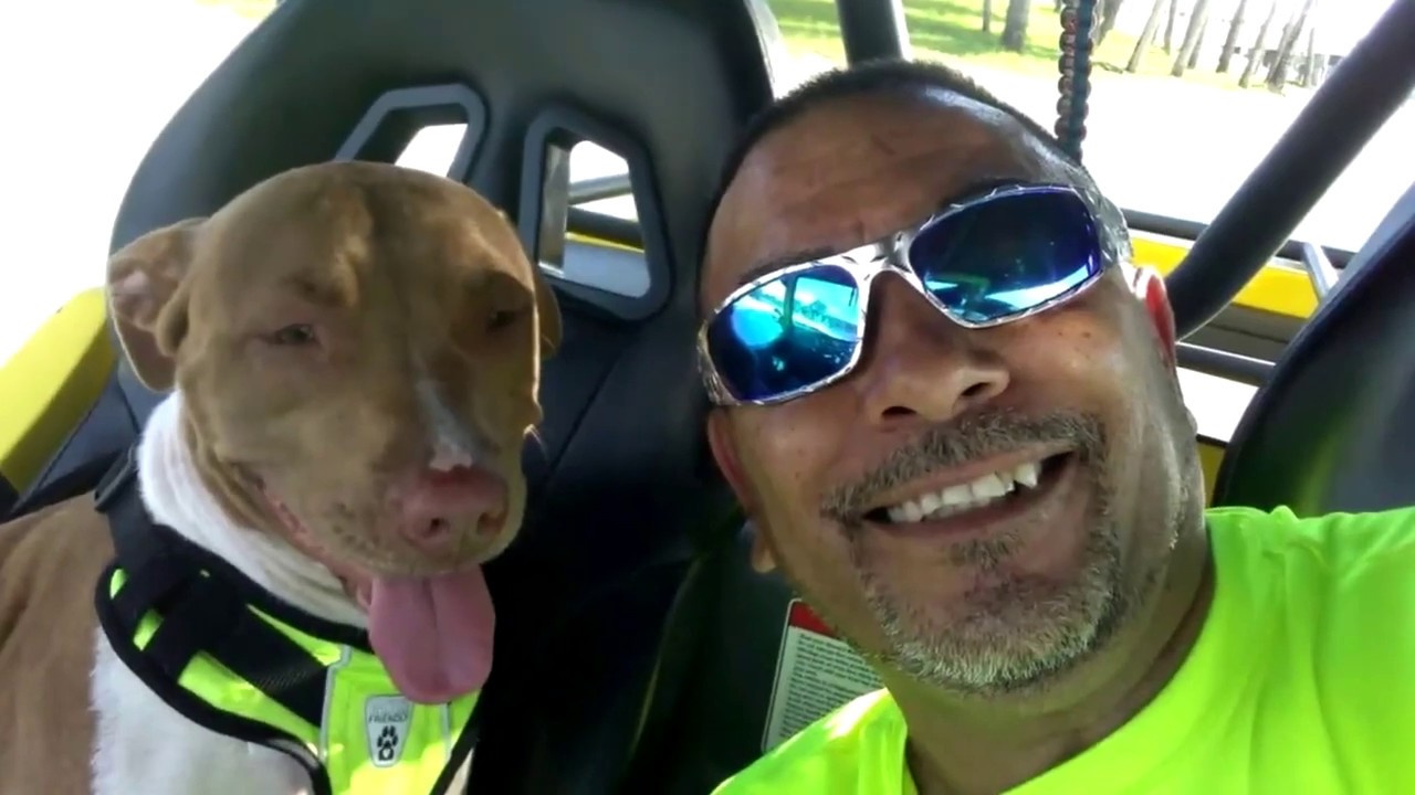 Gibson's Window Tinting Sarasota