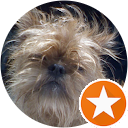 chris mccue profile picture