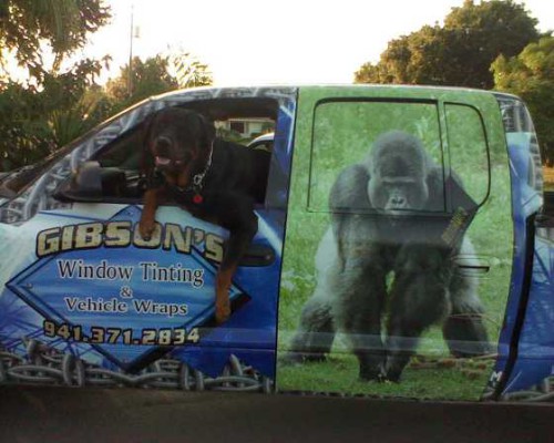 gibsonswindowtintcom72