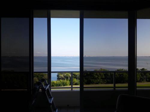 downtown window tinting 