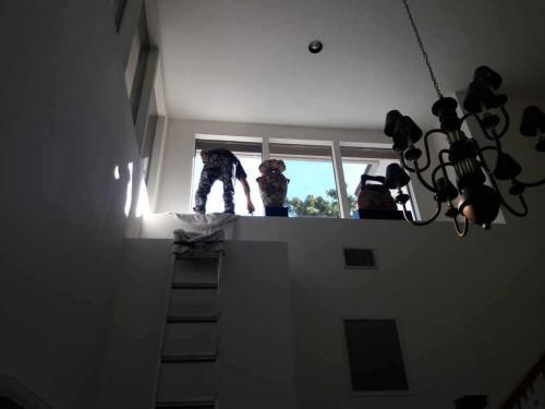 residential home window tinting near me