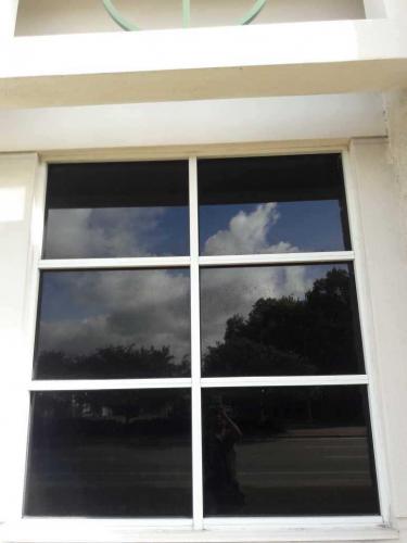 vehicle window tinting sarasota